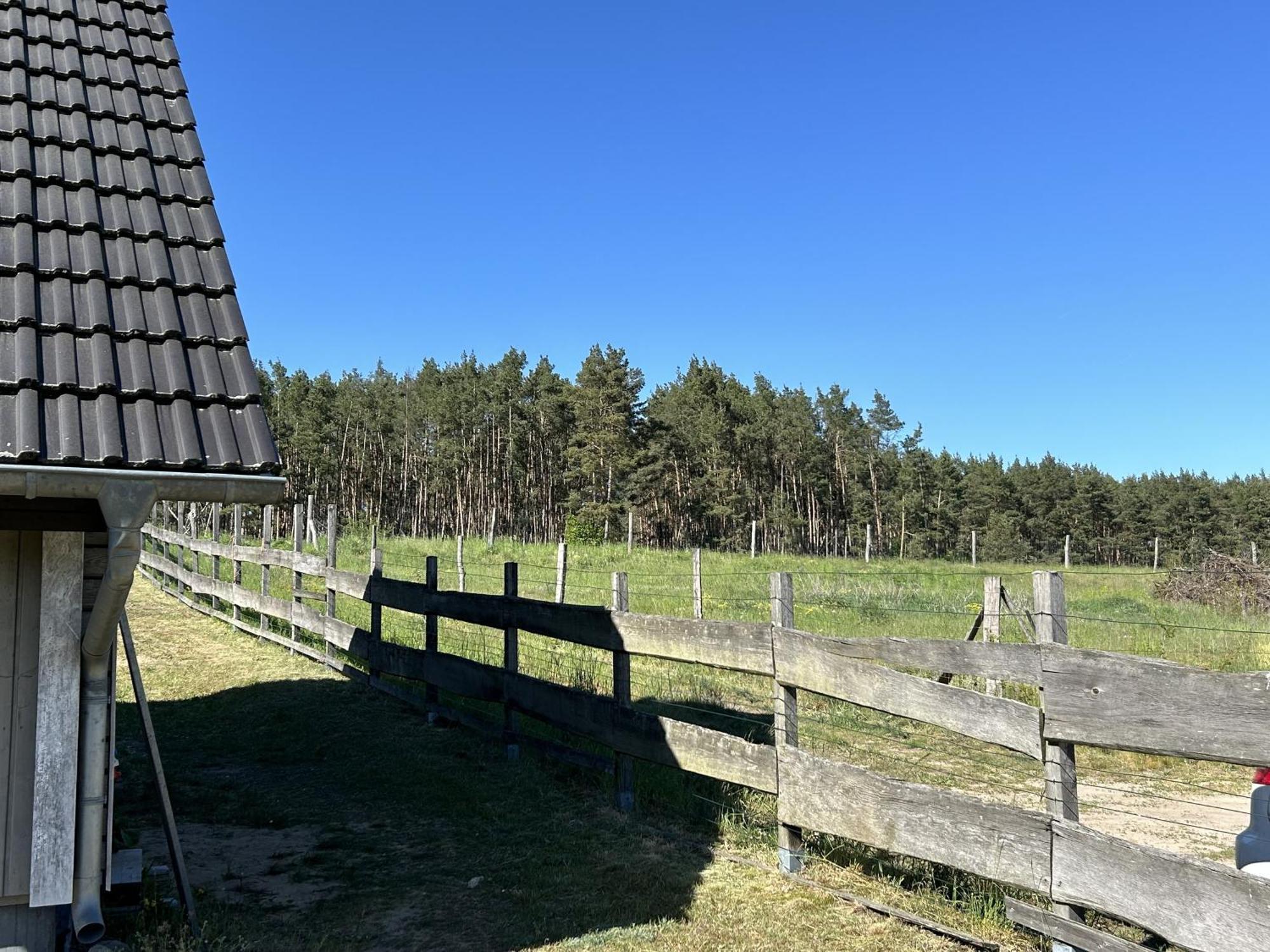Holzhaus Am Waldrand *